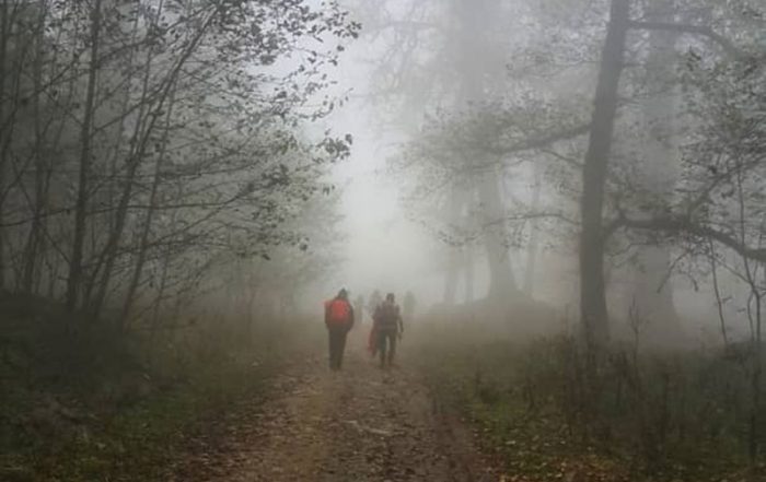 پیمایش جنگلی کلاردشت به نمک آبرود