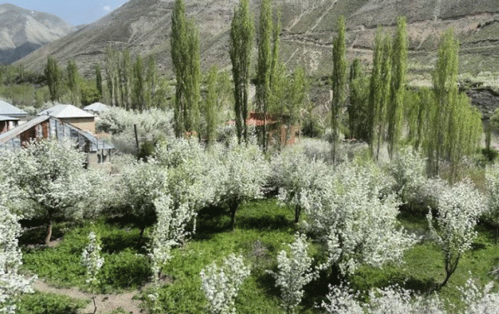 طبیعت گردی کوچه باغ اردیبهشت