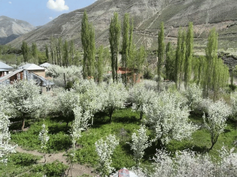 طبیعت گردی کوچه باغ اردیبهشت