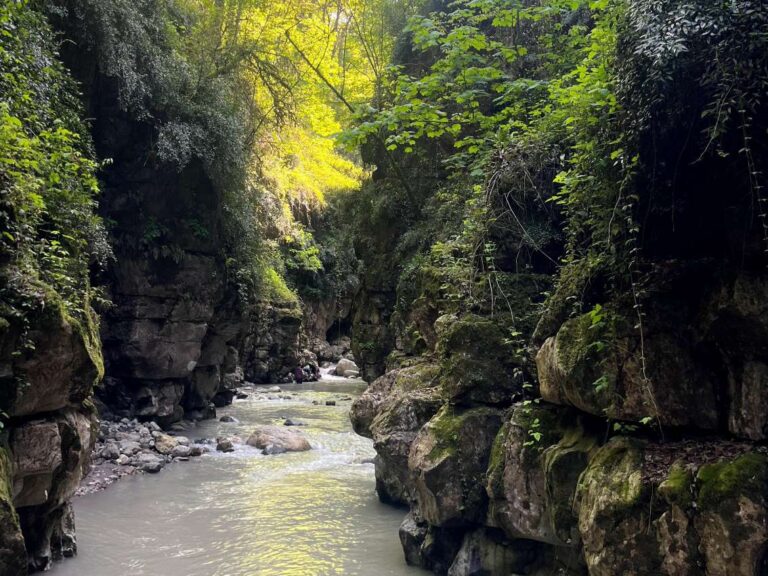 تنگه دار نوجوان