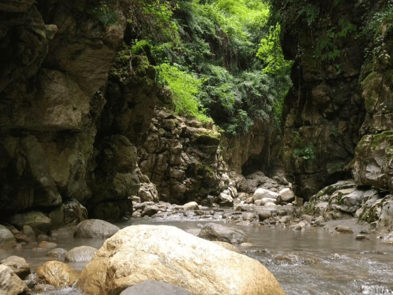 تنگه دار